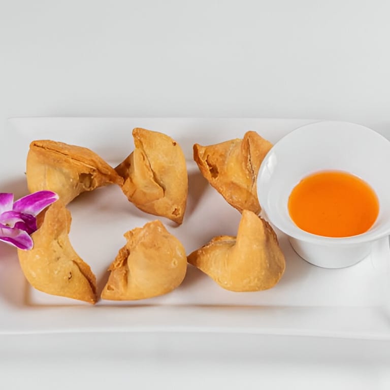 Samosa Delights to Savor